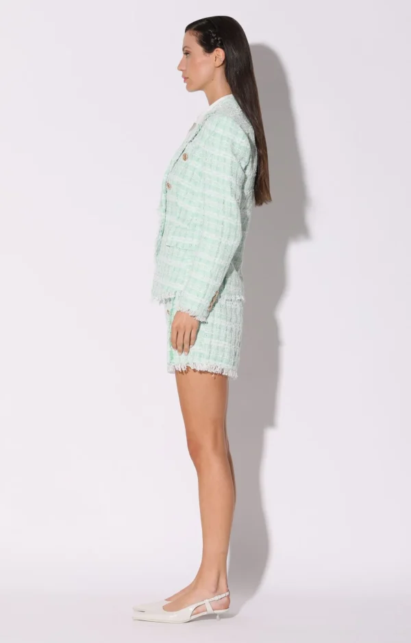 Walter Baker Annalise Blazer, Mint Tweed>Women Jackets