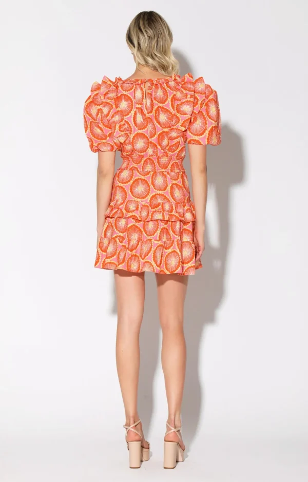 Walter Baker Ciara Dress, Orange Blossom>Women Dresses