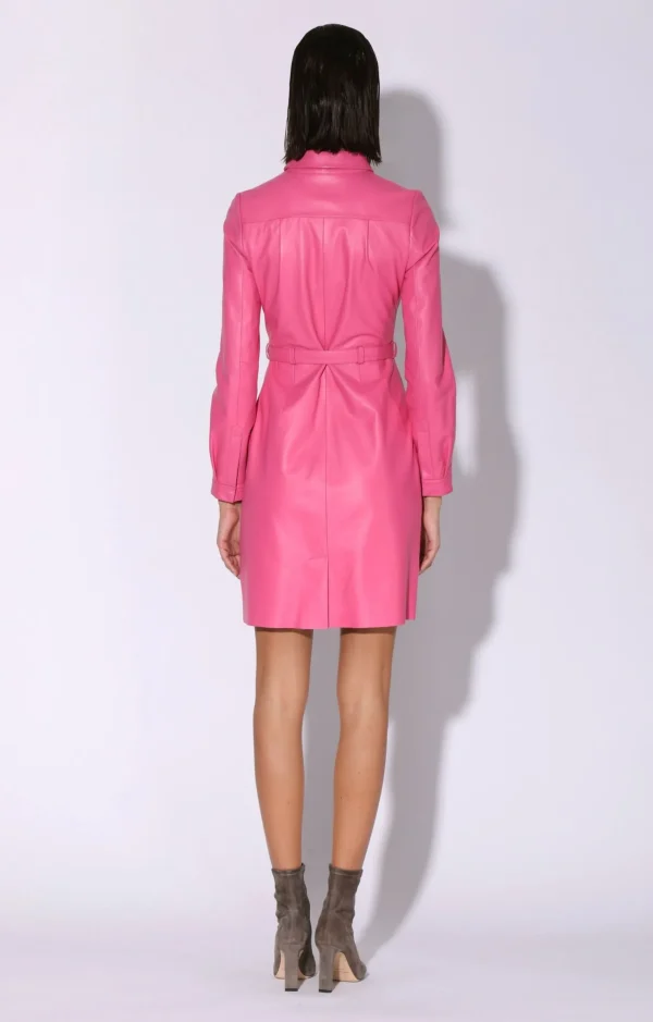 Walter Baker Clara Dress, Candy>Women Dresses