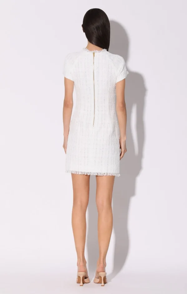 Walter Baker Desiree Dress, Elite Tweed>Women Dresses