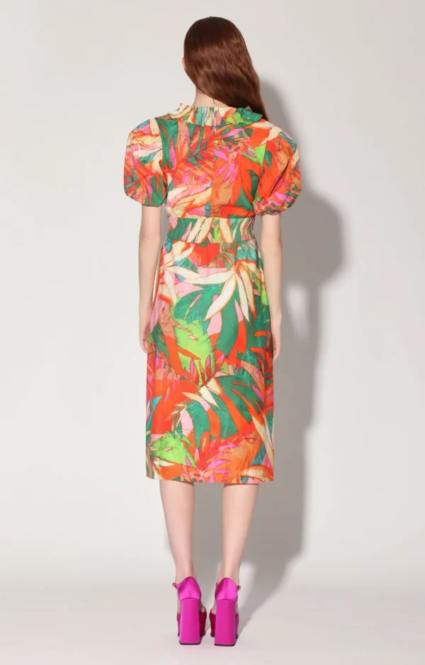 Walter Baker Leela Dress, Morning Glory>Women Dresses