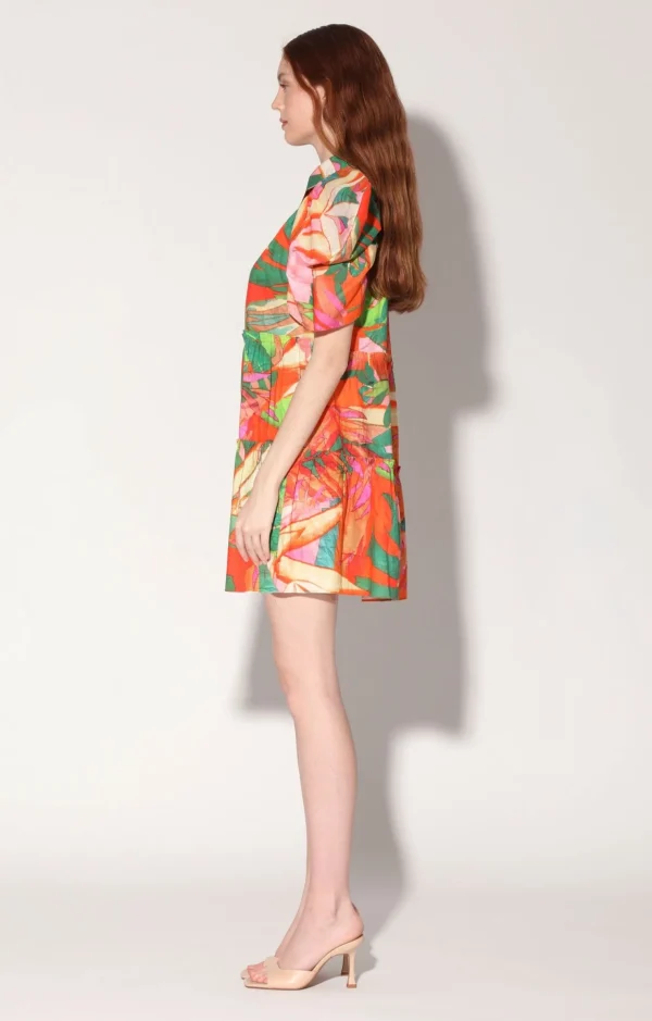 Walter Baker Loreene Dress, Morning Glory>Women Dresses