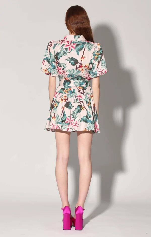 Walter Baker Tyanna Dress, Blush Azalea>Women Dresses